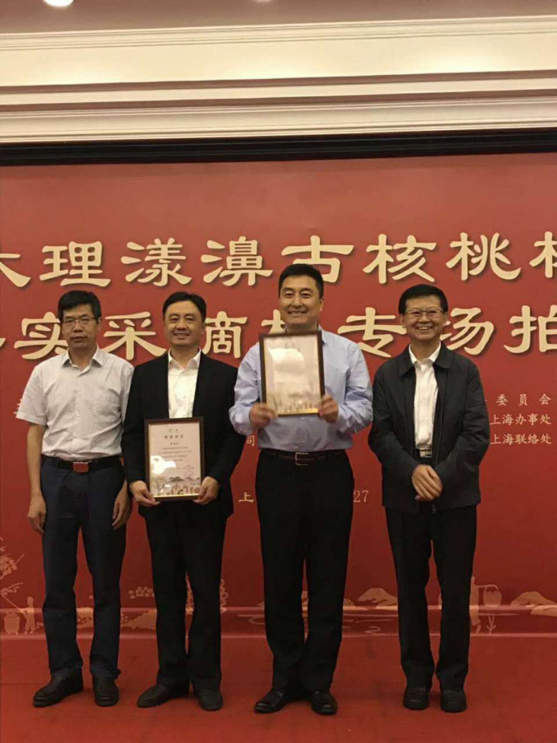 365me力拔头筹获600年古核桃树两年采摘权